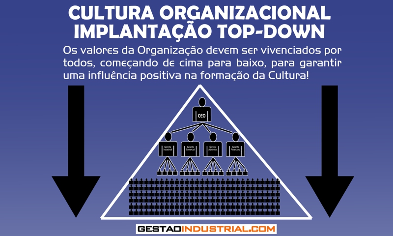 Cultura Organizacional - implantação top-down