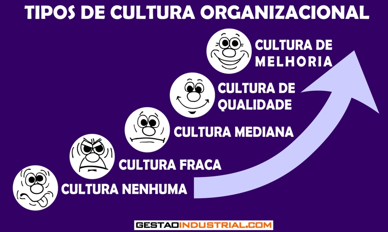 Tipos de Cultura Organizacional - Gestão Industrial