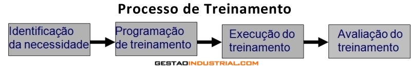 Processo de Treinamento