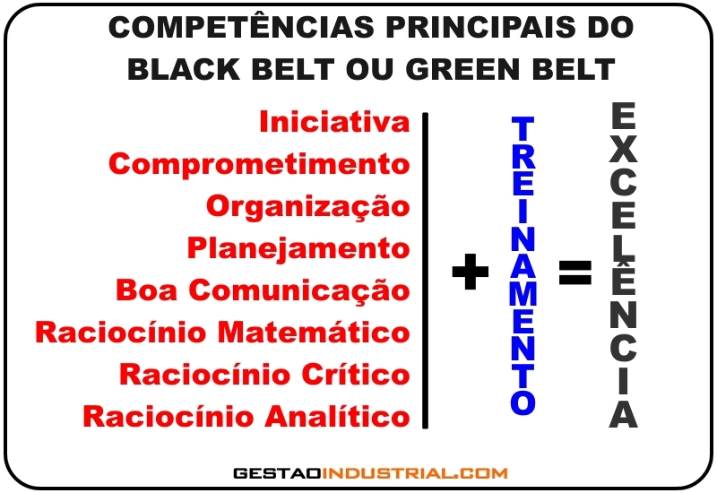 Competências do Black Belt ou Green Belt